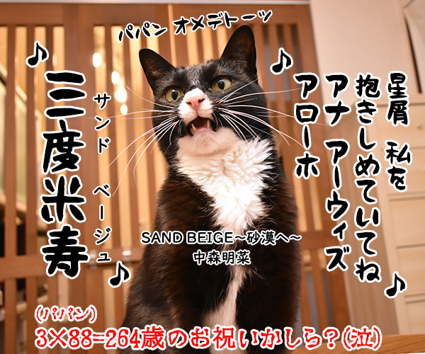 陛下が還暦のお誕生日を迎えられました　猫の写真で４コマ漫画　４コマ目ッ