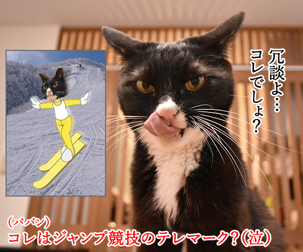 テレワークって最近よく聞くわよねッ　猫の写真で４コマ漫画　２コマ目ッ