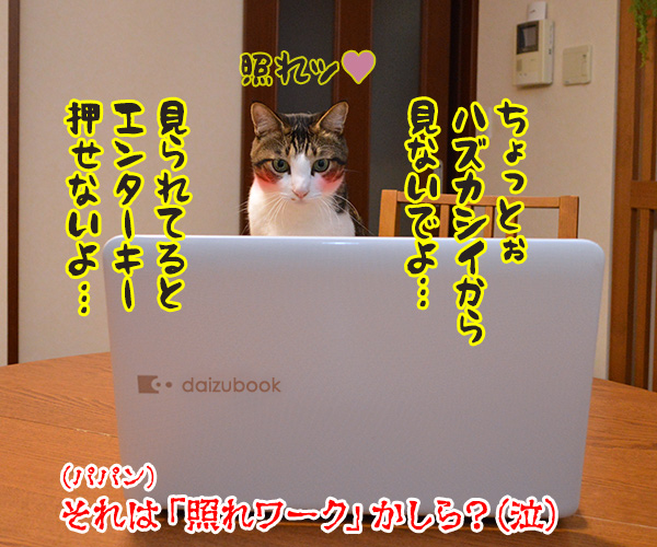 テレワークって最近よく聞くわよねッ　猫の写真で４コマ漫画　４コマ目ッ