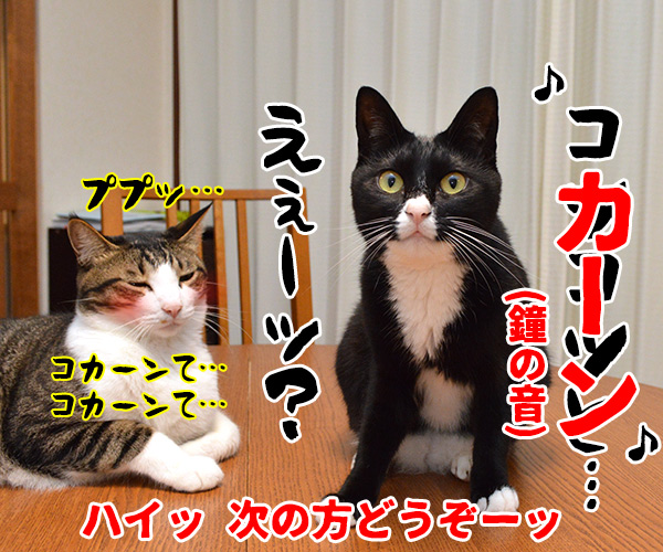 のど自慢大会　其の六　猫の写真で４コマ漫画　４コマ目ッ