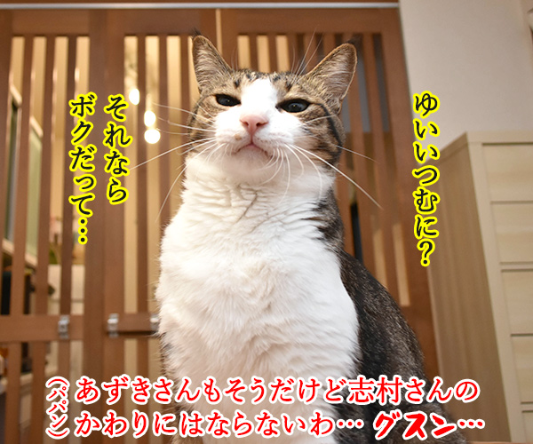 志村けんさんは唯一無二の存在なのよッ　猫の写真で４コマ漫画　３コマ目ッ