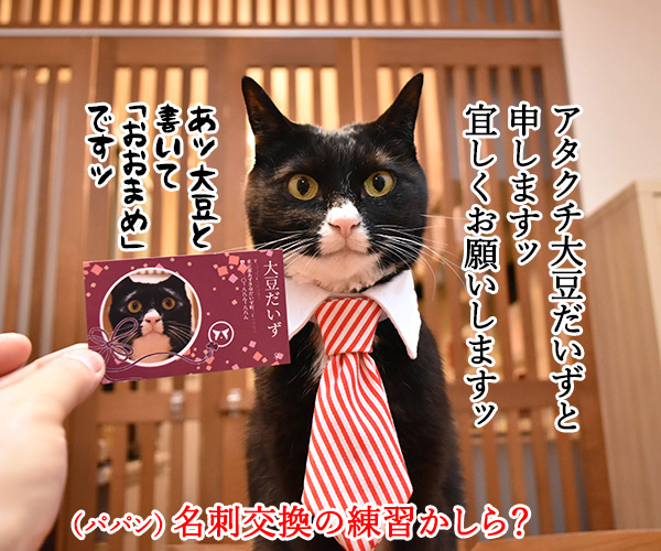 「ニャにもん」で名刺をつくったのよッ　猫の写真で４コマ漫画　１コマ目ッ