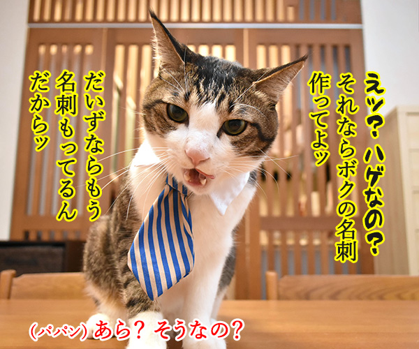 「ニャにもん」で名刺をつくったのよッ　猫の写真で４コマ漫画　３コマ目ッ