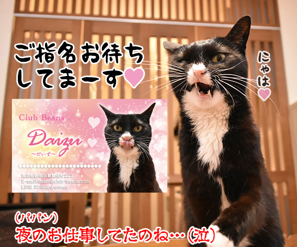 「ニャにもん」で名刺をつくったのよッ　猫の写真で４コマ漫画　４コマ目ッ