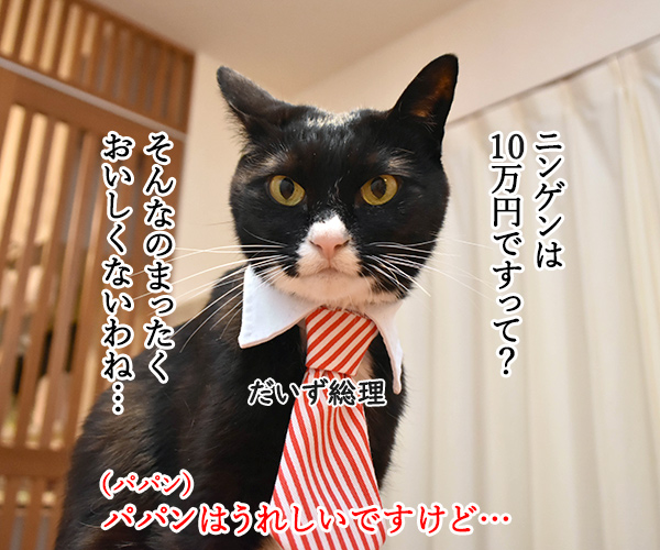 国民一人当たりに10万円給付されるのよッ　猫の写真で４コマ漫画　３コマ目ッ