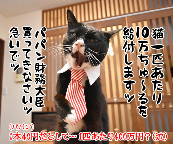 国民一人当たりに10万円給付されるのよッ　猫の写真で４コマ漫画　４コマ目ッ