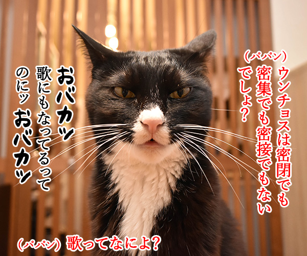 ウンチョスは自粛しなくちゃなのッ　猫の写真で４コマ漫画　３コマ目ッ