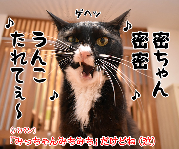 ウンチョスは自粛しなくちゃなのッ　猫の写真で４コマ漫画　４コマ目ッ