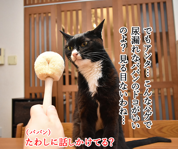 猫用たわしでブラッシングしたら？　猫の写真で４コマ漫画　３コマ目ッ