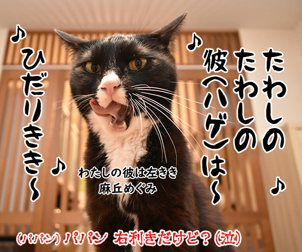 猫用たわしでブラッシングしたら？　猫の写真で４コマ漫画　４コマ目ッ