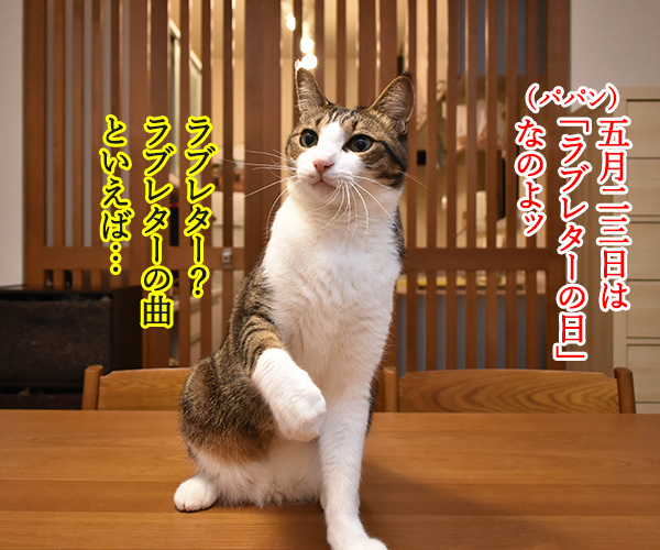 5月23日はラブレターの日なんですってッ　猫の写真で４コマ漫画　１コマ目ッ