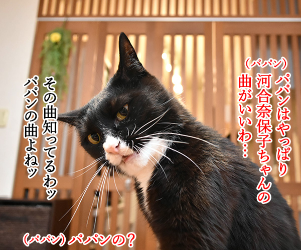 5月23日はラブレターの日なんですってッ　猫の写真で４コマ漫画　３コマ目ッ