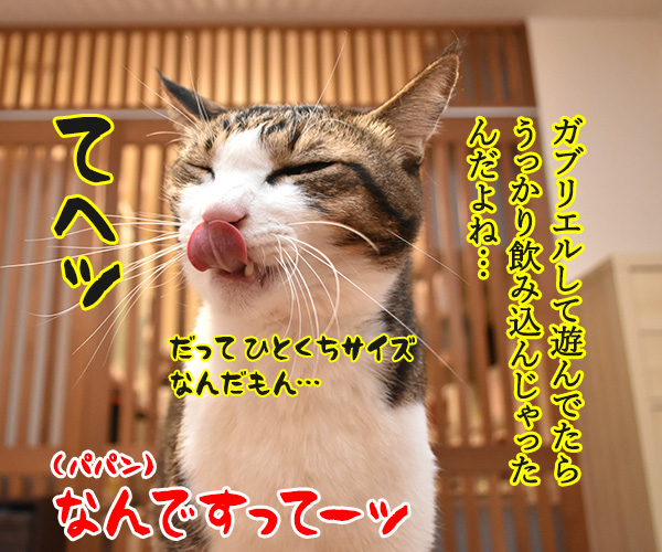 小さいねずみのおもちゃはキケンなのよッ　猫の写真で４コマ漫画　２コマ目ッ