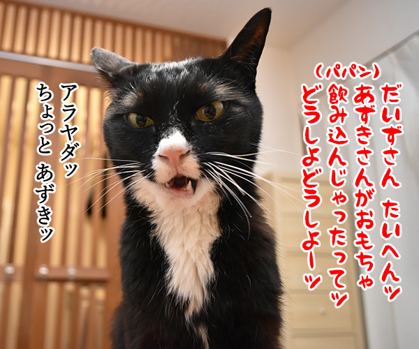 小さいねずみのおもちゃはキケンなのよッ　猫の写真で４コマ漫画　３コマ目ッ