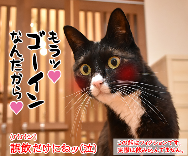 小さいねずみのおもちゃはキケンなのよッ　猫の写真で４コマ漫画　４コマ目ッ