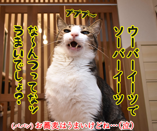 ウーバーイーツでうまいでしょ？　猫の写真で４コマ漫画　２コマ目ッ