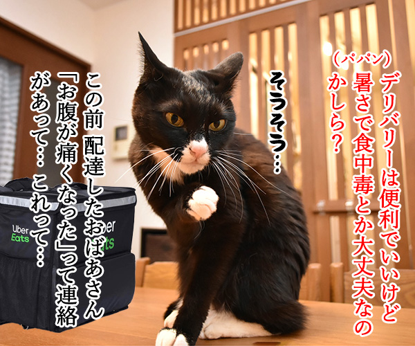 ウーバーイーツでうまいでしょ？　猫の写真で４コマ漫画　３コマ目ッ