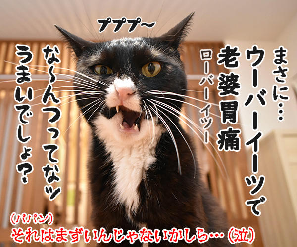 ウーバーイーツでうまいでしょ？　猫の写真で４コマ漫画　４コマ目ッ