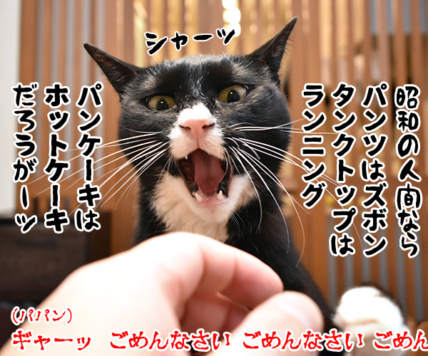 パパンのパンケーキがないのよッ　猫の写真で４コマ漫画　２コマ目ッ