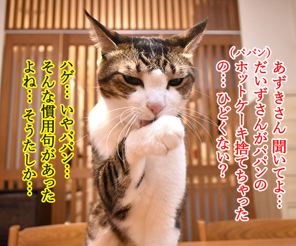 パパンのパンケーキがないのよッ　猫の写真で４コマ漫画　３コマ目ッ