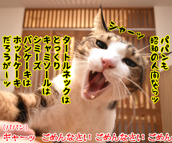 パパンのパンケーキがないのよッ　其の二　猫の写真で４コマ漫画　２コマ目ッ