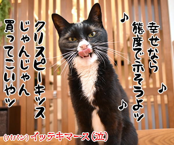 8月8日は「世界猫の日」なのよッ　猫の写真で４コマ漫画　４コマ目ッ