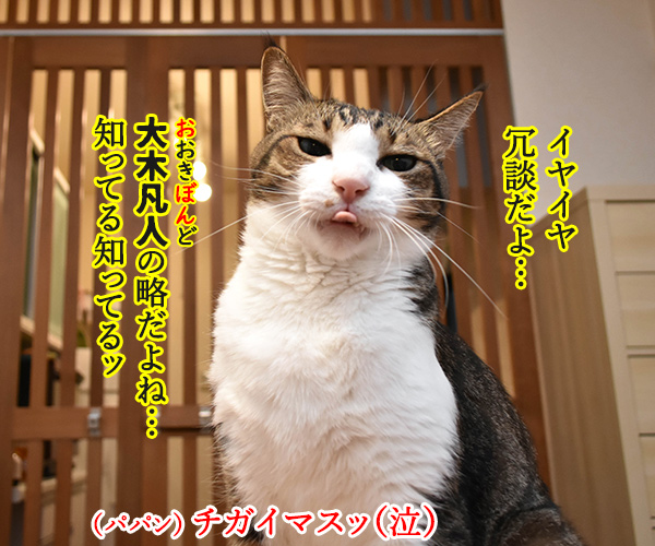 お盆だよッ ご先祖様を迎えなくちゃッ　猫の写真で４コマ漫画　２コマ目ッ