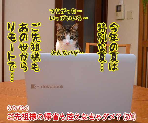 お盆だよッ ご先祖様を迎えなくちゃッ　猫の写真で４コマ漫画　４コマ目ッ