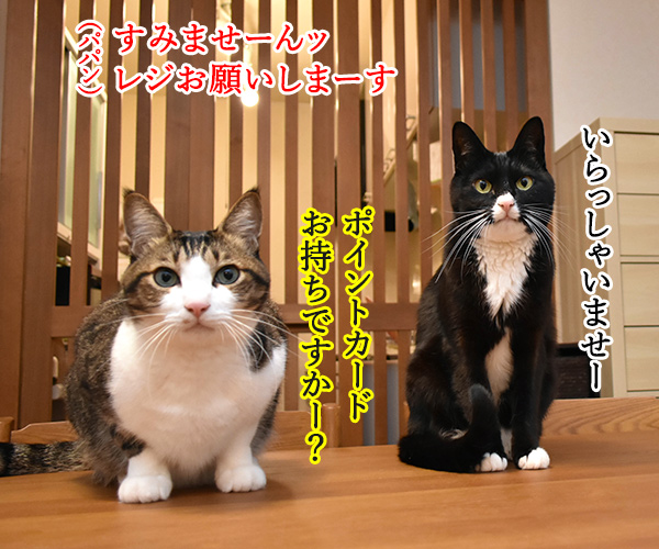 あずだいマートでお買い物 其の五　猫の写真で４コマ漫画　１コマ目ッ