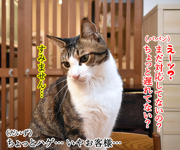 あずだいマートでお買い物 其の五　猫の写真で４コマ漫画　３コマ目ッ