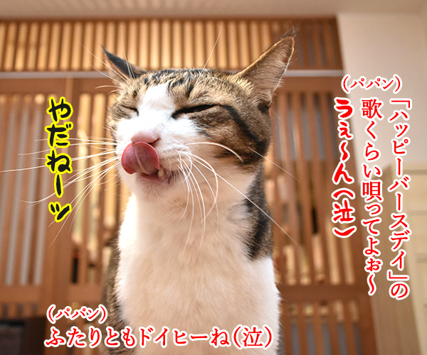 10月6日はパパンのお誕生日なのよッ　猫の写真で４コマ漫画　２コマ目ッ