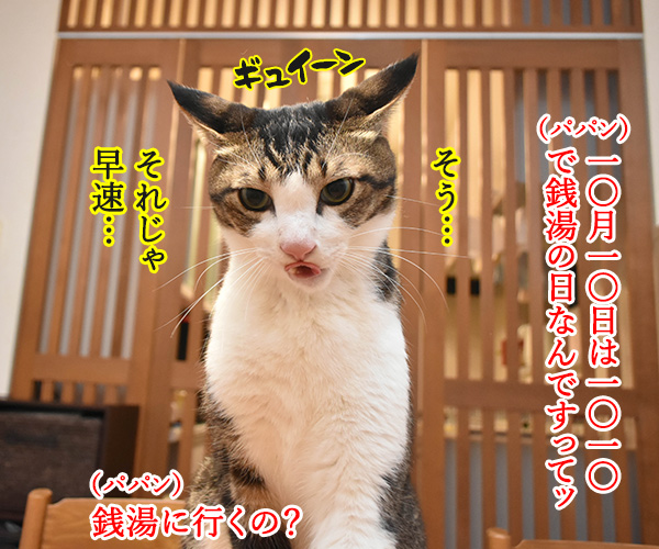 10月10日は銭湯の日なんですってッ　猫の写真で４コマ漫画　１コマ目ッ