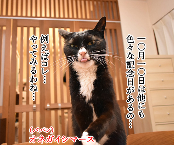 10月10日は銭湯の日なんですってッ　猫の写真で４コマ漫画　３コマ目ッ