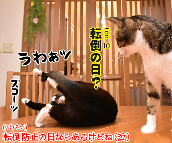 10月10日は銭湯の日なんですってッ　猫の写真で４コマ漫画　４コマ目ッ