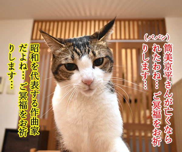 筒美京平さんのご冥福をお祈り申し上げます　猫の写真で４コマ漫画　１コマ目ッ