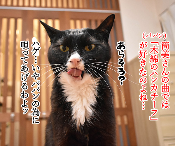 筒美京平さんのご冥福をお祈り申し上げます　猫の写真で４コマ漫画　２コマ目ッ