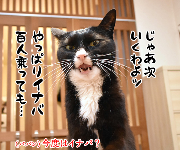 ♪ちゅ～る ちゅ～る…　猫の写真で４コマ漫画　３コマ目ッ