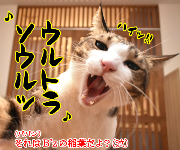 ♪ちゅ～る ちゅ～る…　猫の写真で４コマ漫画　４コマ目ッ