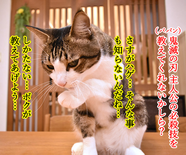 鬼滅の刃　主人公の必殺技は何だったかしら？　猫の写真で４コマ漫画　１コマ目ッ