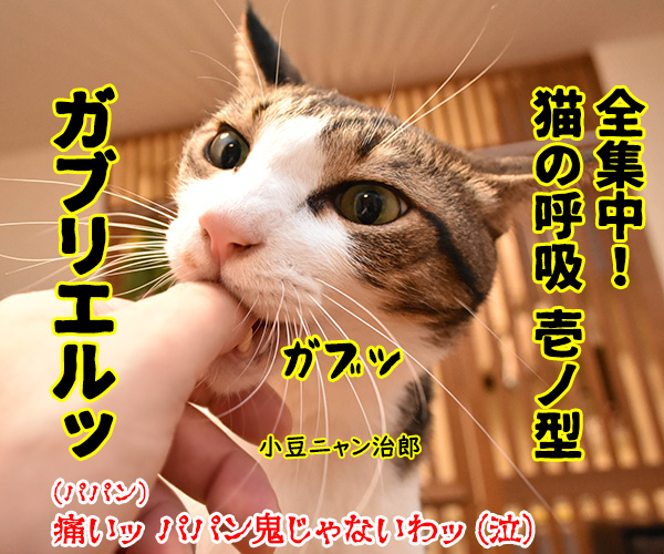 鬼滅の刃　主人公の必殺技は何だったかしら？　猫の写真で４コマ漫画　２コマ目ッ