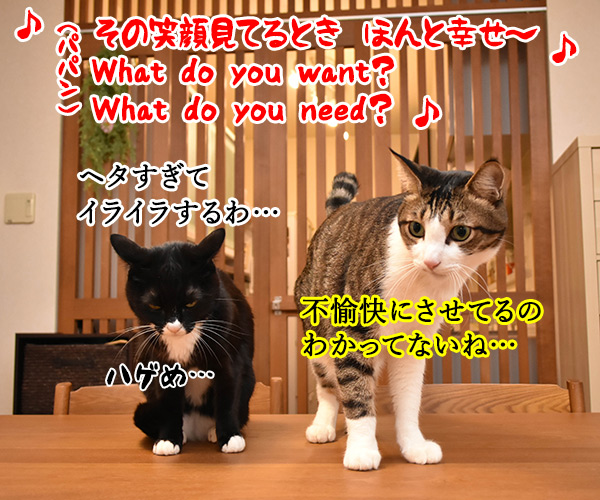 NiziUの『Make you happy』を唄うのよッ　猫の写真で４コマ漫画　３コマ目ッ