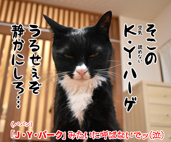 NiziUの『Make you happy』を唄うのよッ　猫の写真で４コマ漫画　４コマ目ッ