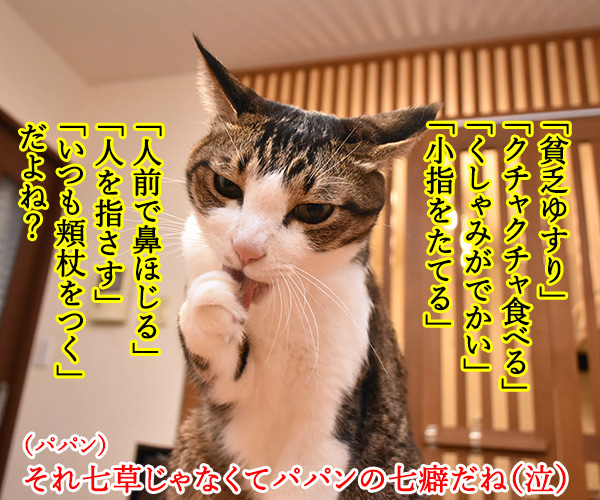 一月七日は七草 七草全部言えるかしら？　猫の写真で４コマ漫画　２コマ目ッ