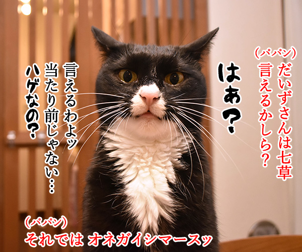 一月七日は七草 七草全部言えるかしら？　猫の写真で４コマ漫画　３コマ目ッ