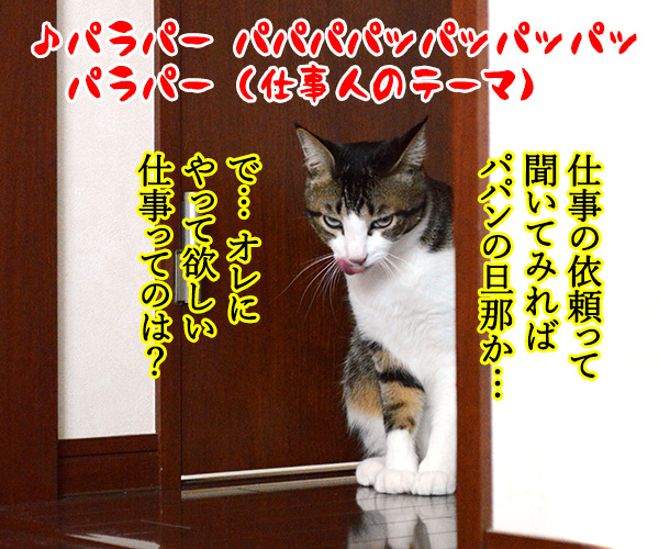 必殺仕事ねこ