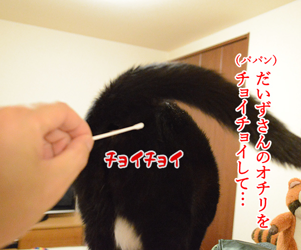 ちょっと実験してみたの　猫の写真で４コマ漫画　１コマ目ッ