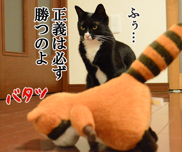 セイギノミカタ　猫の写真で４コマ漫画　４コマ目ッ