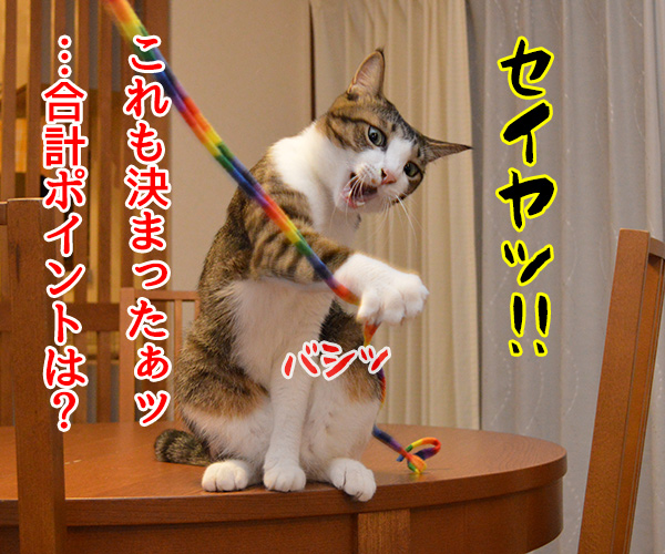 猫じゃら選手権　猫の写真で４コマ漫画　３コマ目ッ