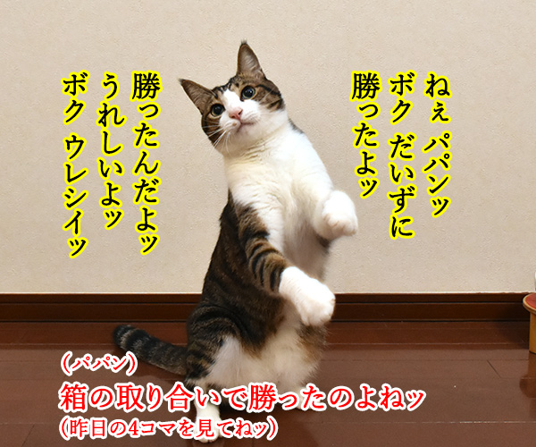 だいずに勝ってウレシイのッ　猫の写真で４コマ漫画　１コマ目ッ