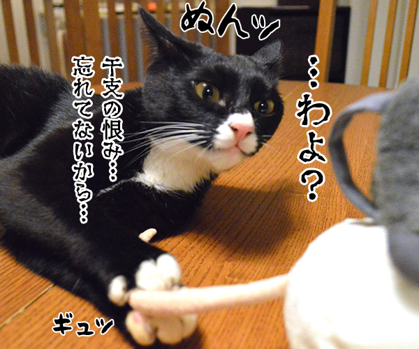 ねことねずみ　猫の写真で４コマ漫画　４コマ目ッ